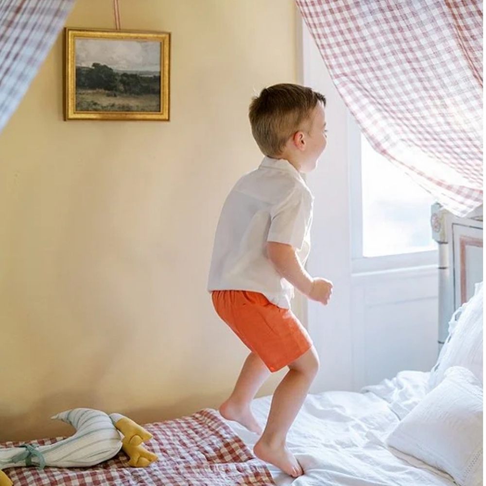 Edgehill Collection Little Boys Arlo Camp Collar Short Sleeve Woven & Shorts Set - Picture 10 of 11